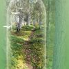 Suru adressi D4259 - Metsäpolku suru adressi