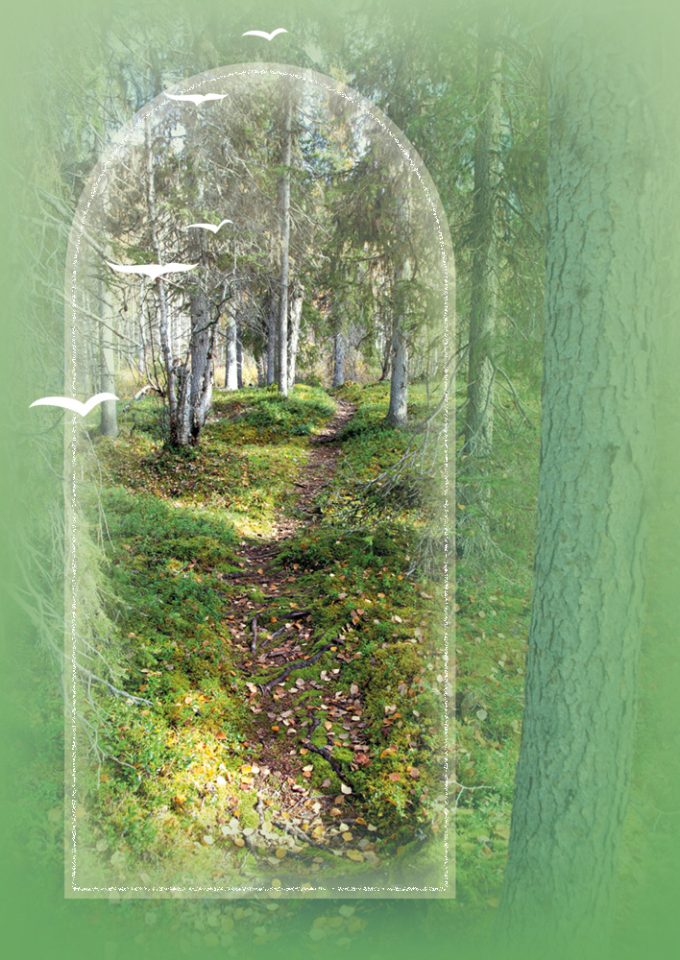 Suru adressi D4259 - Metsäpolku suru adressi