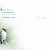 Hautajaisiin suruadressi - Muistolintu D4261 hautajaisiin suruadressi teksti