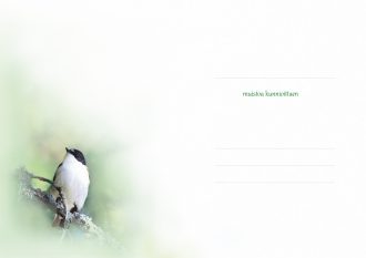 suruadressi sisälehti