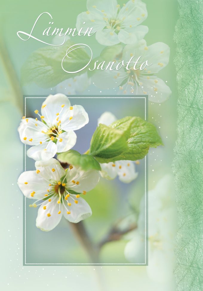 Suruadressi D3006 - Omenankukat suruadressi