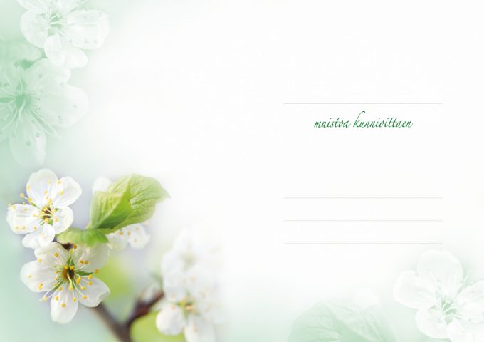 Adressi sisälehti - Omenankukat D3006 adressi sisälehti